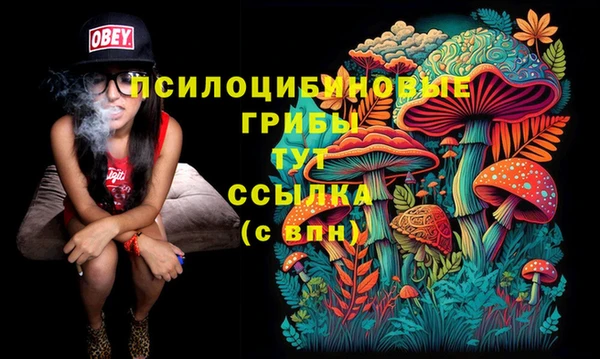 гашик Новокубанск