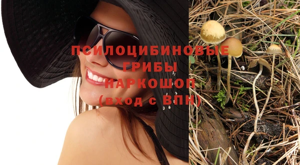 гашик Новокубанск