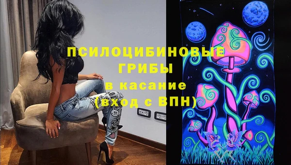 герыч Бикин