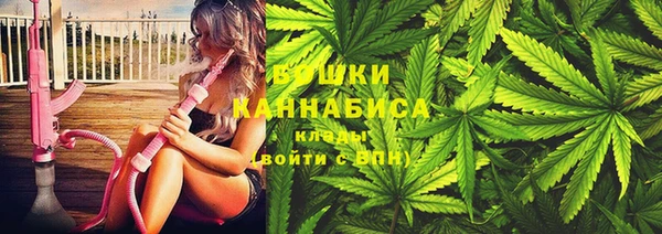 первитин Новозыбков