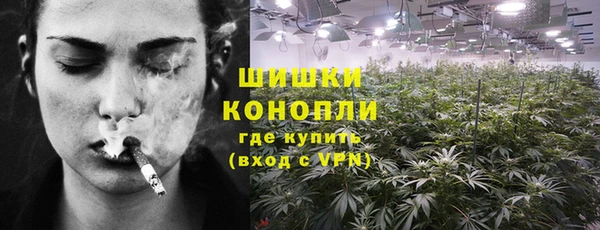 первитин Новозыбков