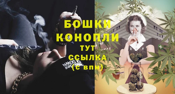 гашик Новокубанск