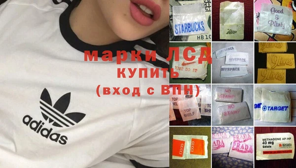 гашик Новокубанск